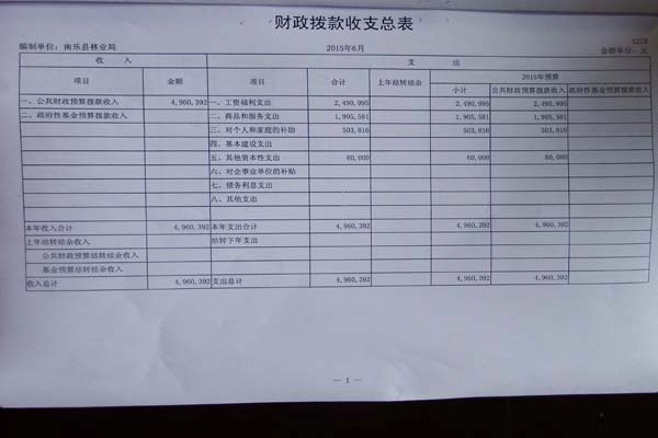 ����2015����ҵ���ʽ�Ԥ�������