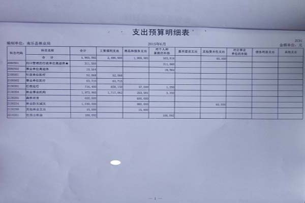 ����2015����ҵ���ʽ�Ԥ�������