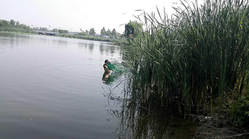 �ս�Υ��Ͷ�ŵĵ���