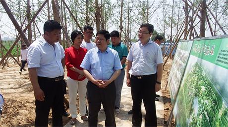 ʡ��ҵ����������Ⱥ��ݰ�������ص��д�������ɭ�ֳ��й���