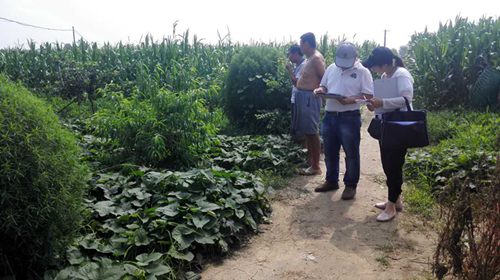 ��������ľ������Դ�ղ鹤��������Ļ